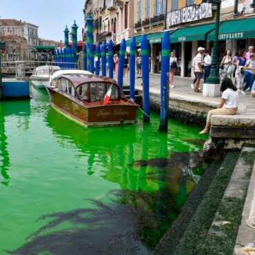 Canal Grande leuchtet grün - was ist da los?