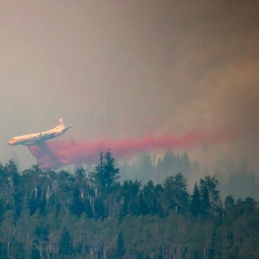 Kanada braucht Hilfe: Waldbrände außer Kontrolle